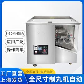 WZ-13全自動制丸機