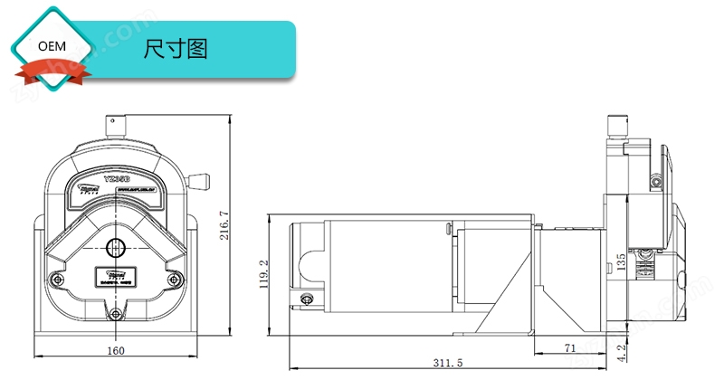 OEM蠕動泵