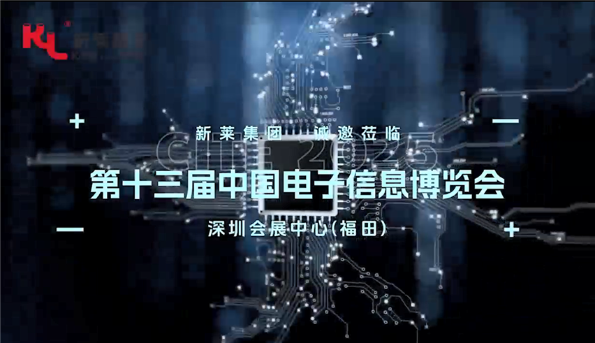 新萊集團(tuán)-第十三屆中國電子信息博覽會現(xiàn)場