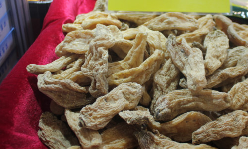 千億市場啟航!中醫藥借政策東風深耕全球化布局