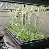 人工氣候室