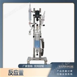 高硼硅玻璃儀器 1L 雙層玻璃反應(yīng)釜