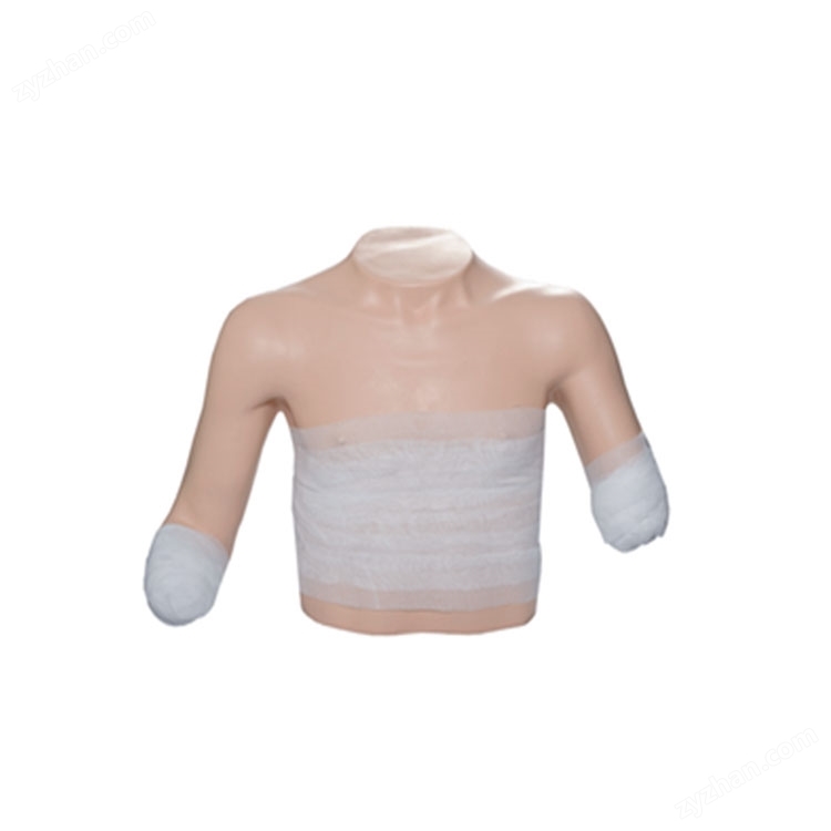 艾米立 高級高位包扎模型