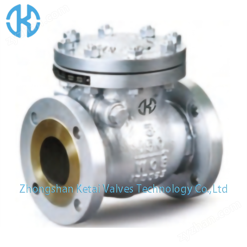 Drehbare Hartdichtungsflansche Rückschlagventile