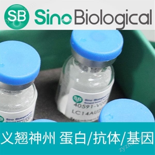 DPP4小鼠重組蛋白圖片
