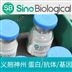 DPP4小鼠重組蛋白圖片