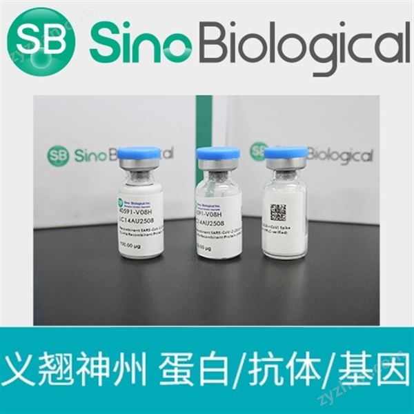 DPP4小鼠重組蛋白圖片
